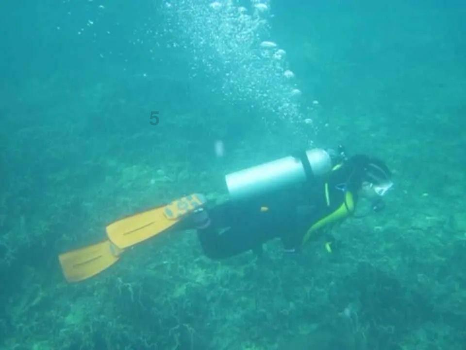 请问小学生上到几年级后,就能独立学习了?妈妈就可以上班了知识星球,扩展你的知识圈